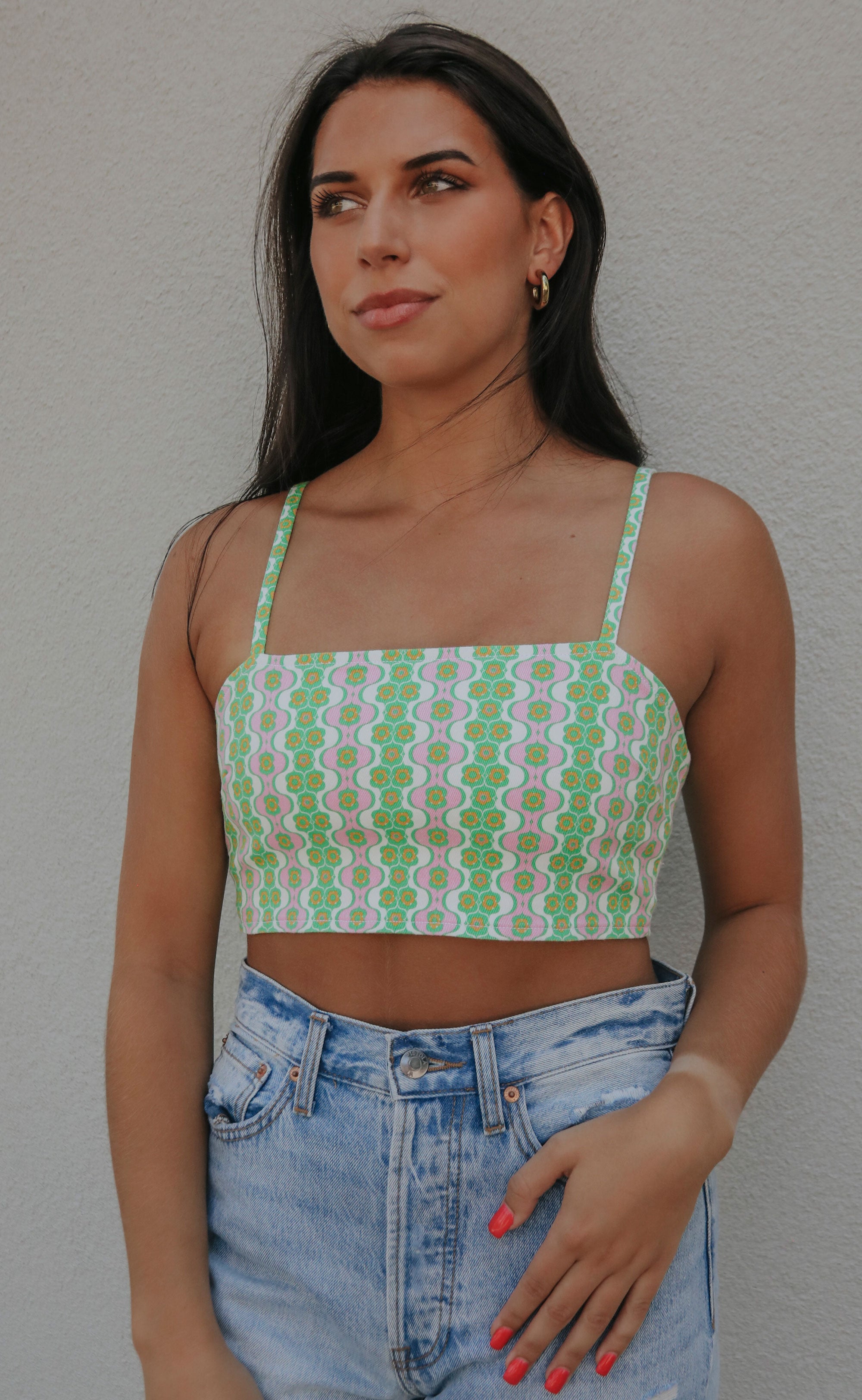 show me your mumu: borderline crop top - watermelon geo